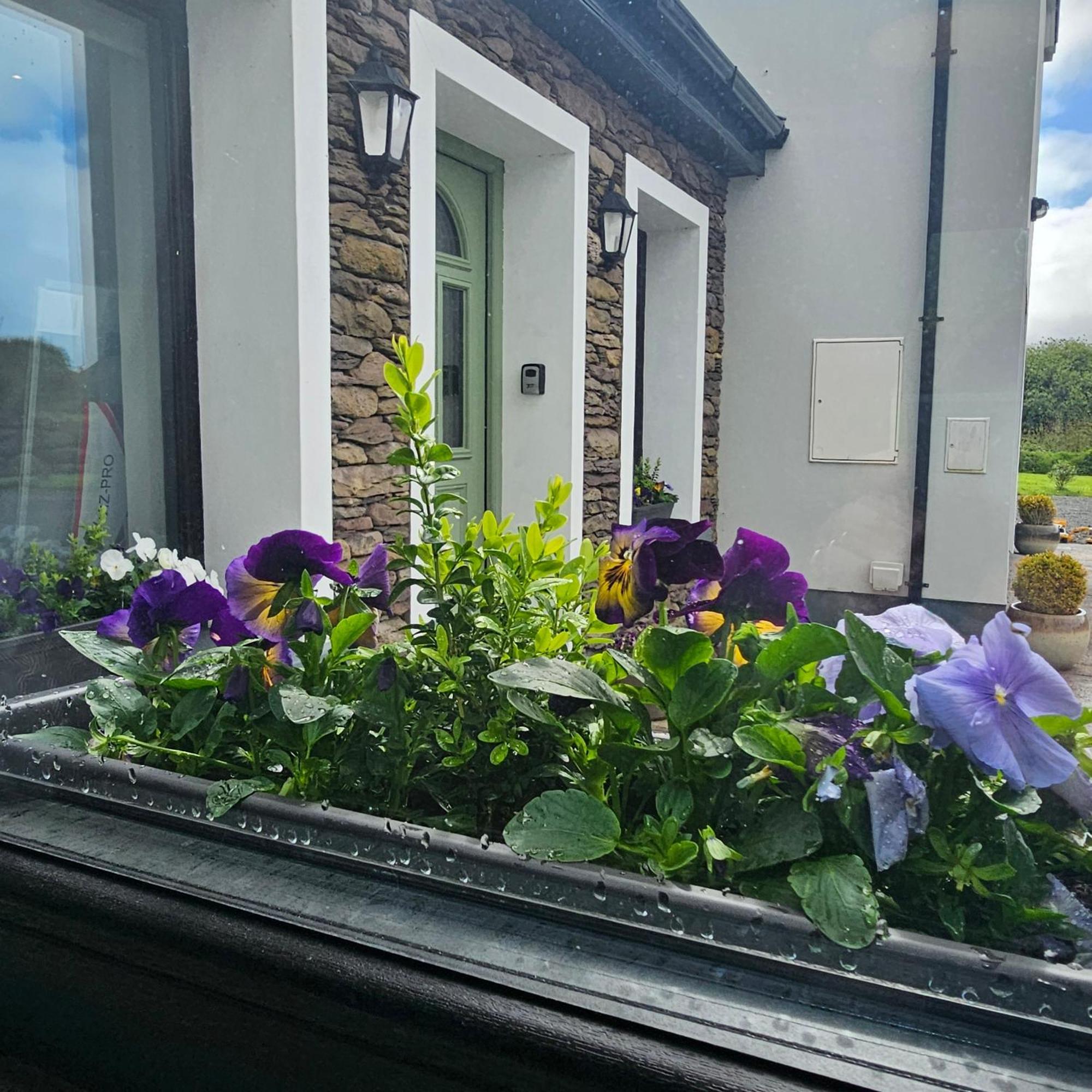 Apartament The Ce Hideout Tralee Zewnętrze zdjęcie